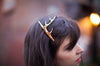 ANTLER