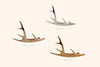 ANTLER