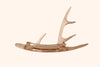 ANTLER